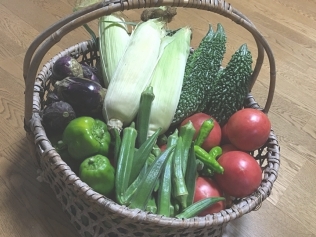 美味しいコシヒカリと自家菜園で採れる野菜たち。