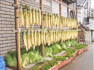 美味しいコシヒカリと自家菜園で採れる野菜たち。