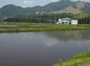 美味しいコシヒカリと自家菜園で採れる野菜たち。